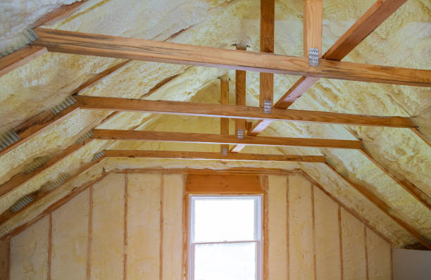 Best Insulation for Specific Applications in Pelion, SC