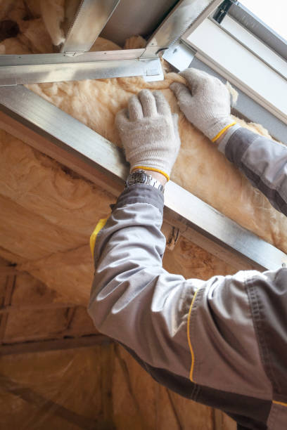 Best Commercial Insulation in Pelion, SC